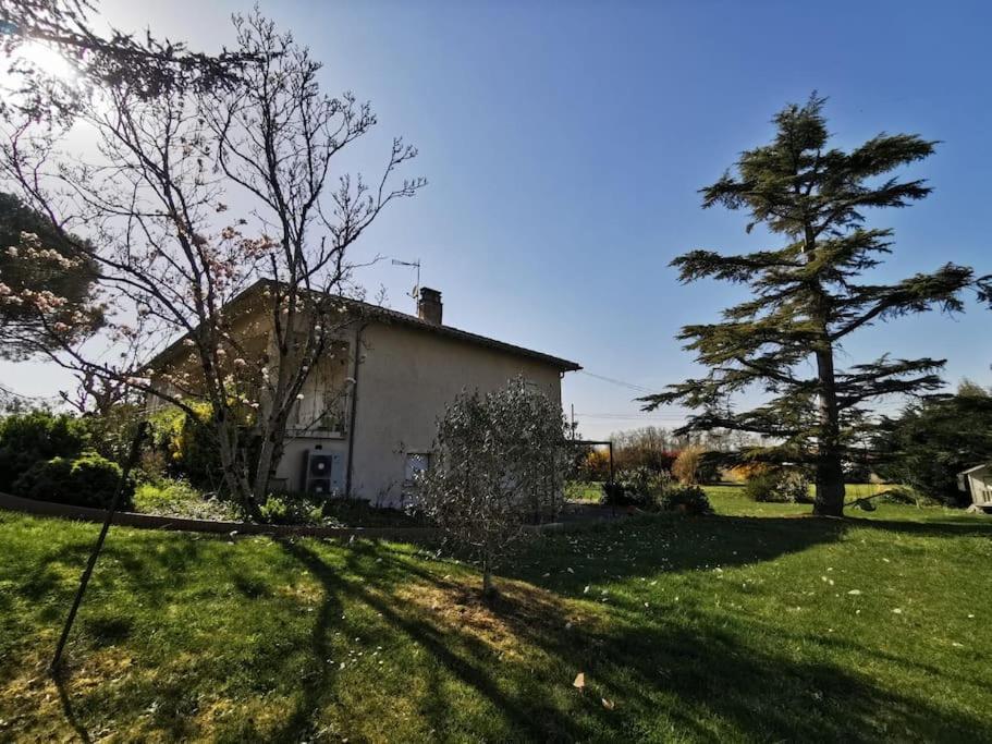 Maison Gaillacoise Exteriör bild